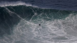 ¡Qué susto! Surfista se encontró con un tiburón martillo mientras esperaba su ola (Video)