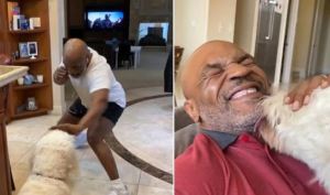 Así pasa la cuarentena Mike Tyson, boxeando con su perro a los 53 años (Video)