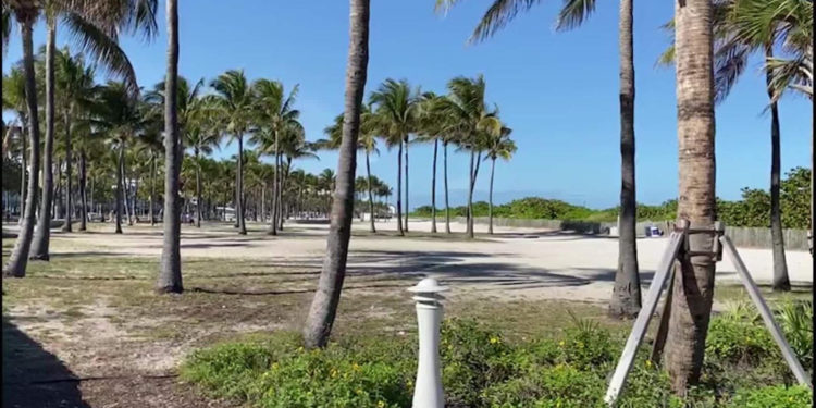 Aparecen peces extraños en la Bahía de Biscayne