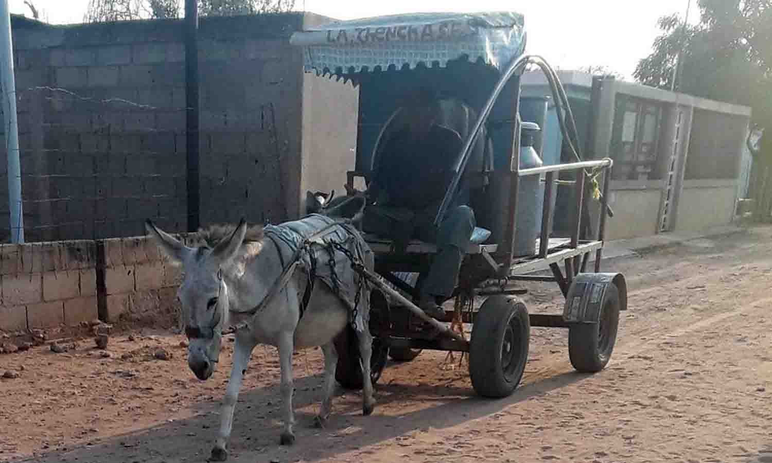 En carreta y burro trasladan el agua en el Zulia