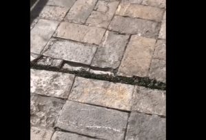 Espeluznante video muestra cómo el suelo se abre en dos durante terremoto en México