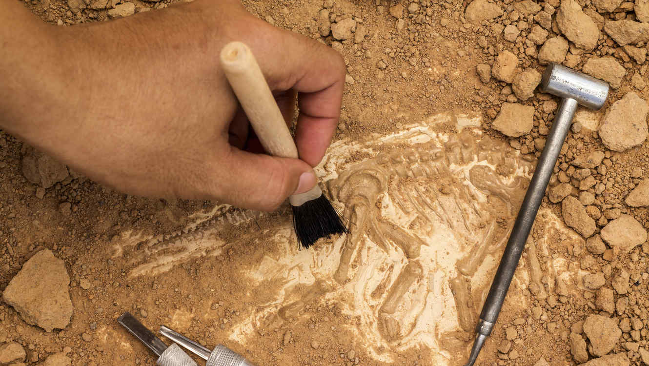 El ATERRADOR descubrimiento de unos arqueólogos en un yacimiento en España (FOTOS)