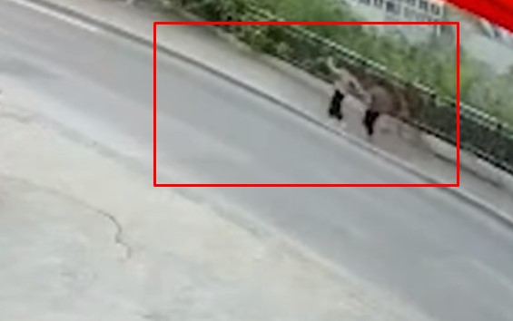 Caminaban tranquilas por la calle, se les hundió el suelo… y se fueron por un voladero (VIDEO)