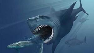 Revelan el verdadero tamaño del megalodón, el mayor tiburón de todos los tiempos