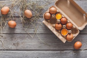 En el Día Mundial del Huevo, los beneficios de que provengan de una gallina libre de jaula