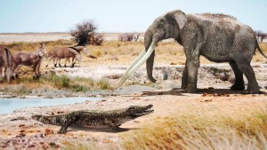 Descubren en España restos de cocodrilos africanos de hace seis millones de años