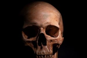 Decoraciones de Halloween resultaron ser los restos de un hombre desaparecido