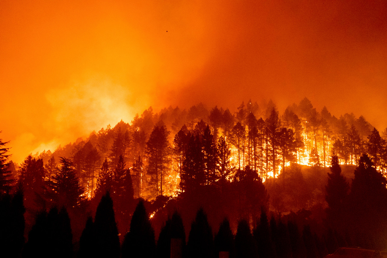 Incendios forestales de California alcanzaron nuevo récord (FOTOS)
