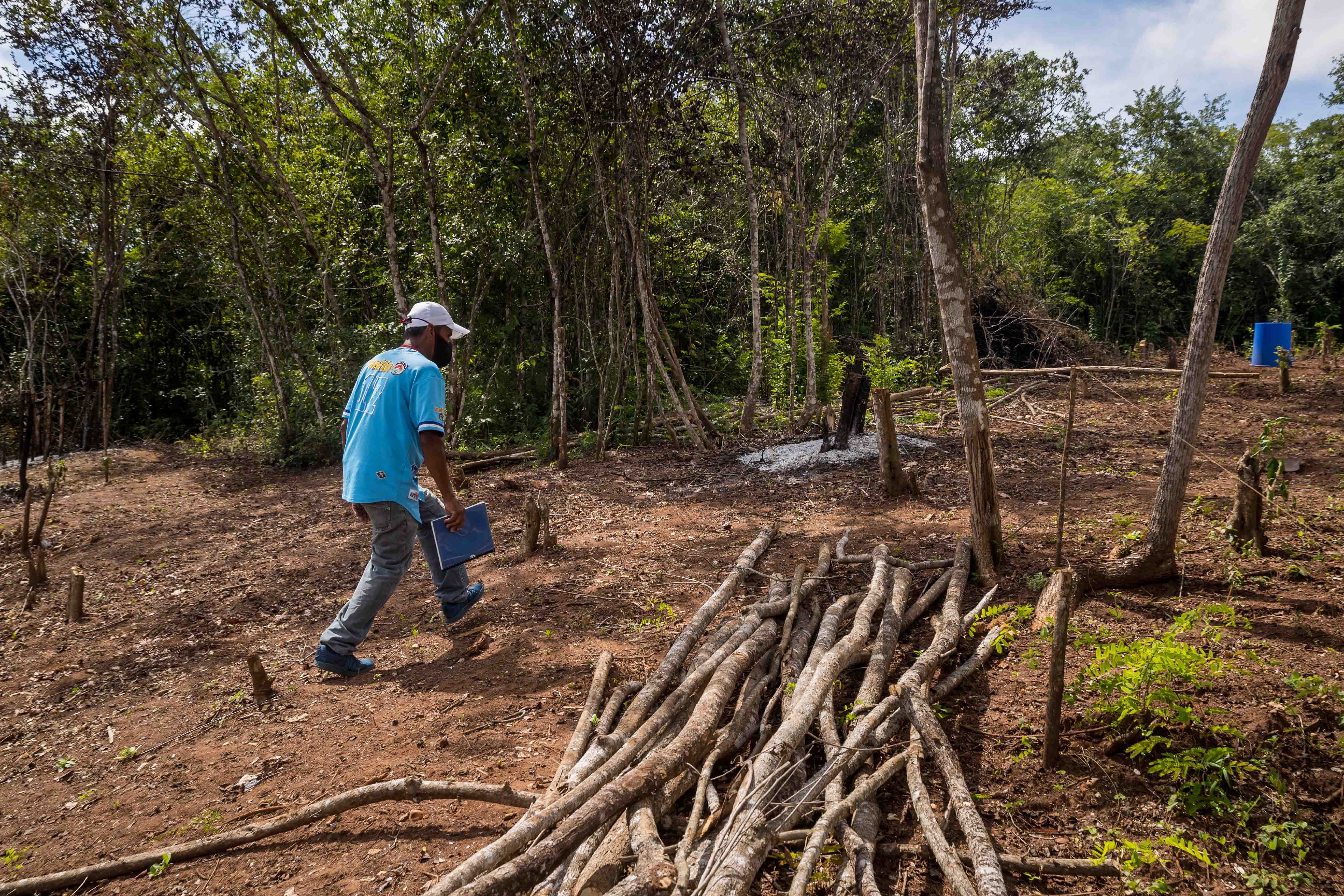 EN FOTOS: Venezolanos acuden a la tala indiscriminada para suplir la escasez de gas y luz