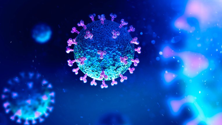 El coronavirus está siguiendo las reglas de la evolución al pie de la letra