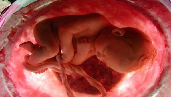 ¿La placenta protege al bebé de la transmisión del coronavirus?