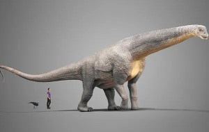 Titanosaurio hallado en Argentina es el más antiguo