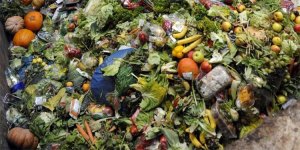 ONU: el mundo desperdició 931 millones de toneladas de alimentos en 2019