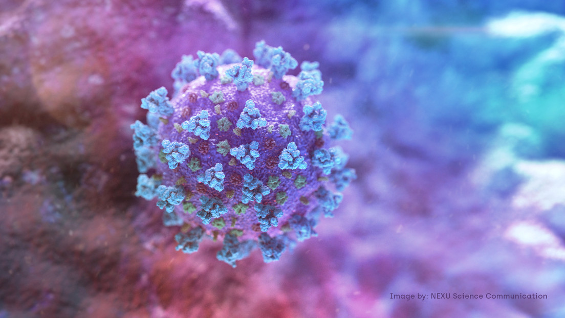 UNA BUENA NOTICIA: Descubren una forma de neutralizar el coronavirus en menos de un segundo