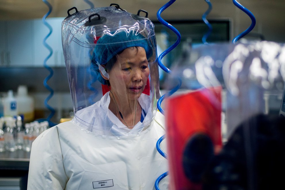 Reconocida viróloga de Wuhan en el centro de la pandemia rompió el silencio: “No tengo nada que temer”