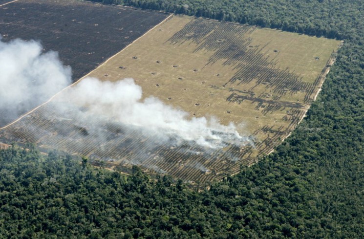 EEUU le pidió a Bolsonaro “pasos claros” hacia la reducción de la deforestación en el Amazonas