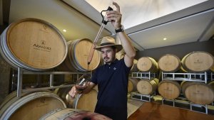 Cómo son los curiosos “vinos de altura” de Bolivia que sueñan con ganar mercados en el mundo (Fotos)