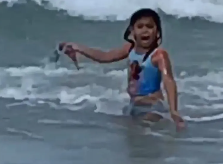El aterrador momento en que una niña corre por su vida mientras es perseguida por un tiburón (VIDEO)