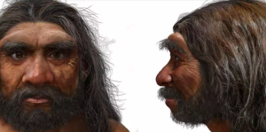 “Hombre Dragón”: Científicos dicen que nueva especie humana es nuestro antepasado más cercano
