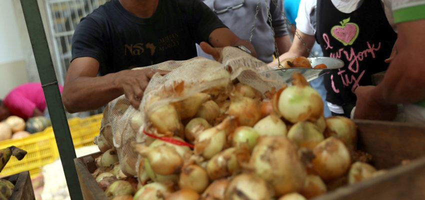 Peligra el abastecimiento de hortalizas en Venezuela: Casas de cultivo operan a 25% de capacidad