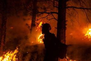 Más de 22 mil bomberos combaten 86 grandes incendios en EEUU
