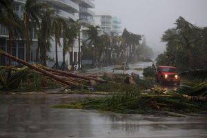 Árboles derribados y autos atascados en el condado de Miami-Dade por la tormenta Elsa