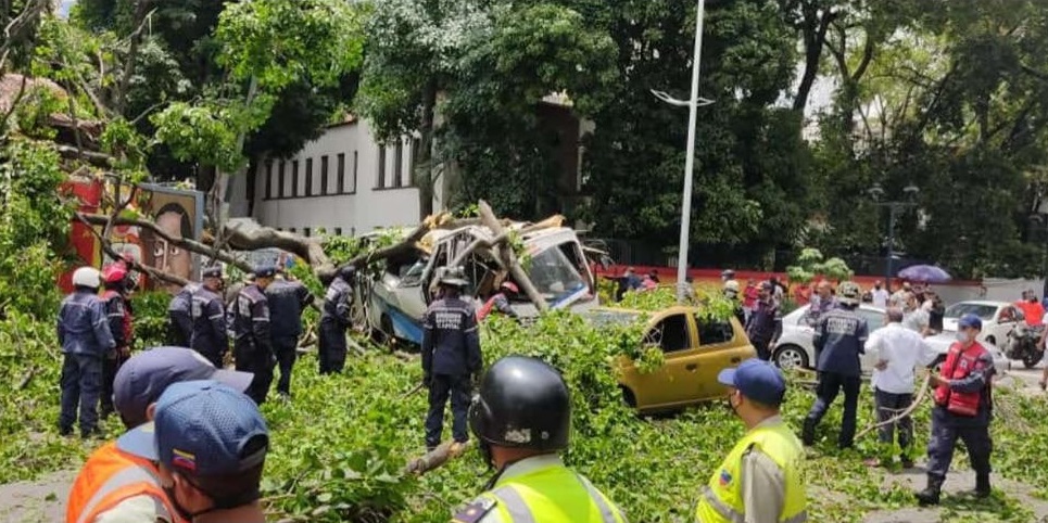 Un árbol cayó sobre una unidad de transporte público en la avenida México de Caracas #2Jul (fotos y videos)