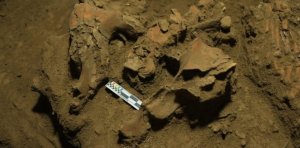 Hallaron esqueleto en Indonesia con un ADN perteneciente a grupo humano desconocido