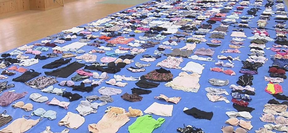 Sujeto robó más de 700 prendas de lencería femenina de una lavandería en Japón