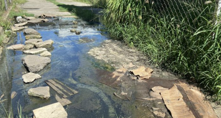 Entre aguas negras y malos olores viven en Maracay ante colapso de cloacas