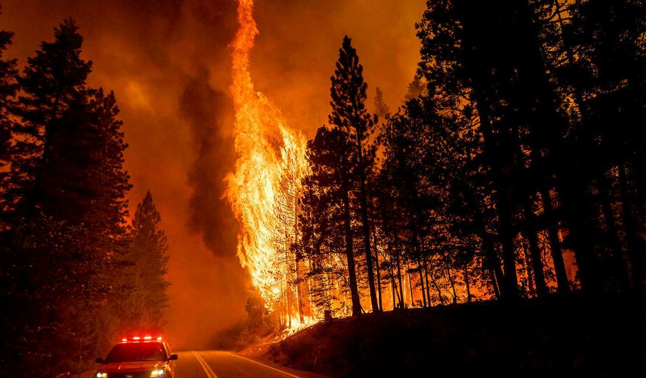 Bomberos batallaron para proteger las inmensas secuoyas de las llamas en California