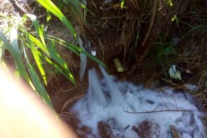 Aló, ¿Hidrocentro? Miles de litros de agua se pierden en sector El Retobo de Naguanagua