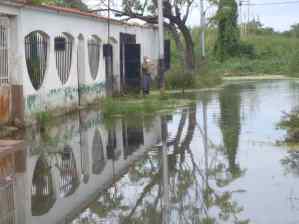 Habitantes de Maracay inundados por el Lago de Valencia, llevan 15 años esperando ser reubicados
