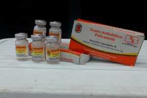 Falta de suero antiofídico pone en riesgo la vida de pacientes venezolanos