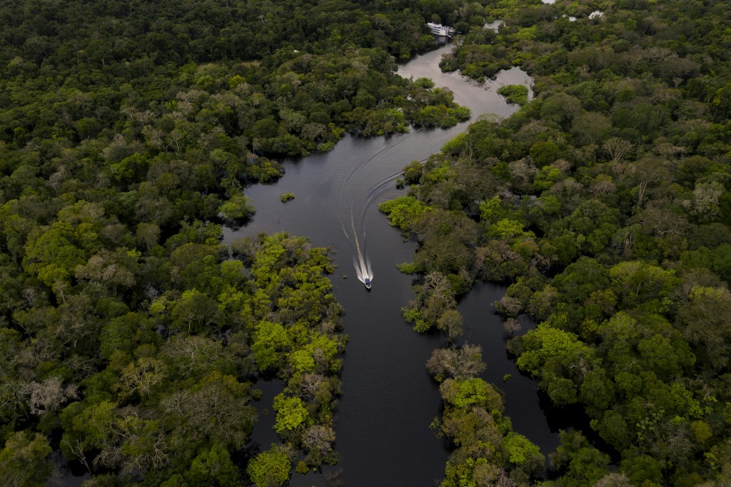 La Amazonía, un paraíso casi perdido (FOTOS)