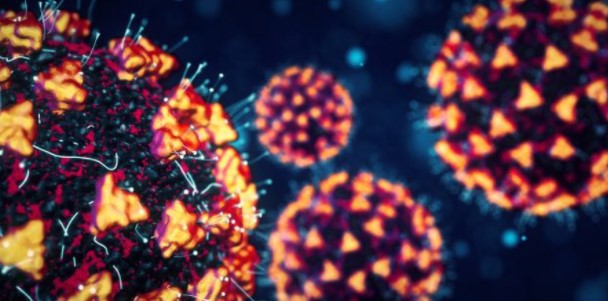 Cómo las variantes del coronavirus evaden la acción de las enzimas defensoras