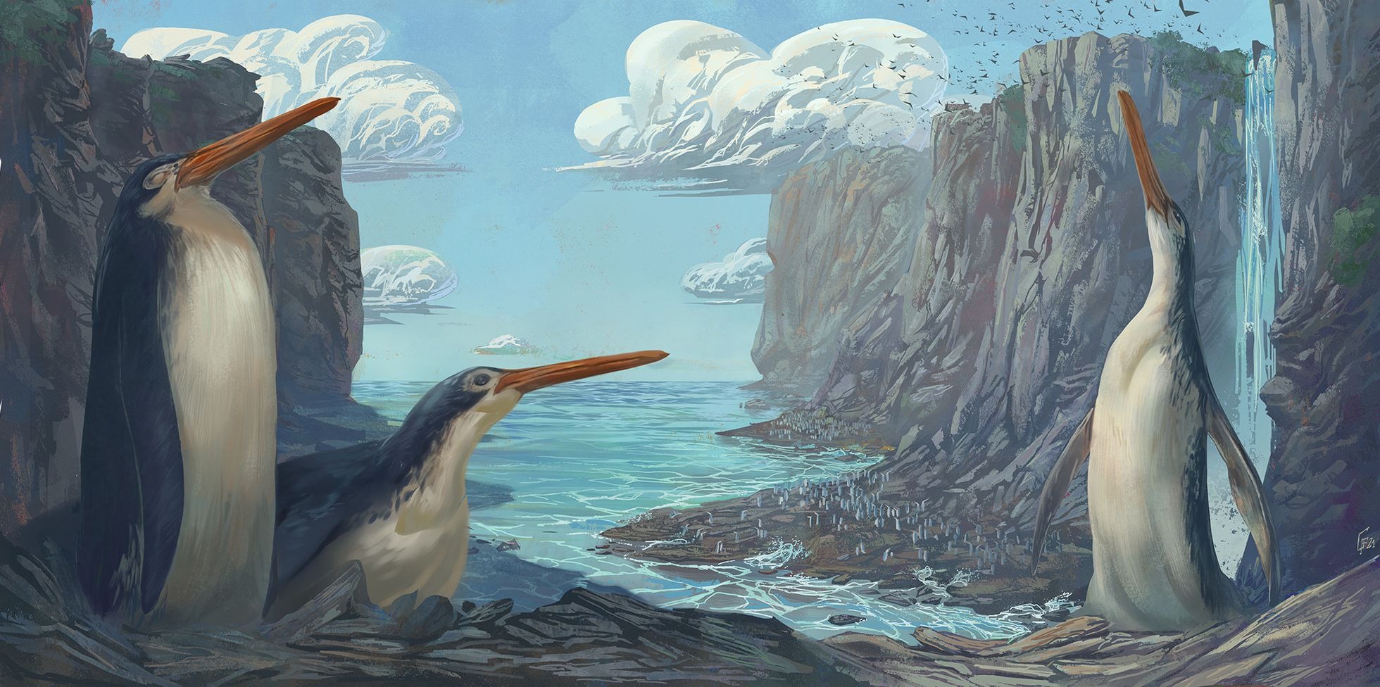 Un grupo de niños descubrió el fósil de una nueva especie de pingüino gigante