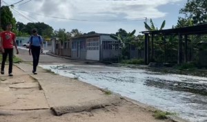 Se agudizó problemática de aguas negras en comunidad de Ciudad Guayana