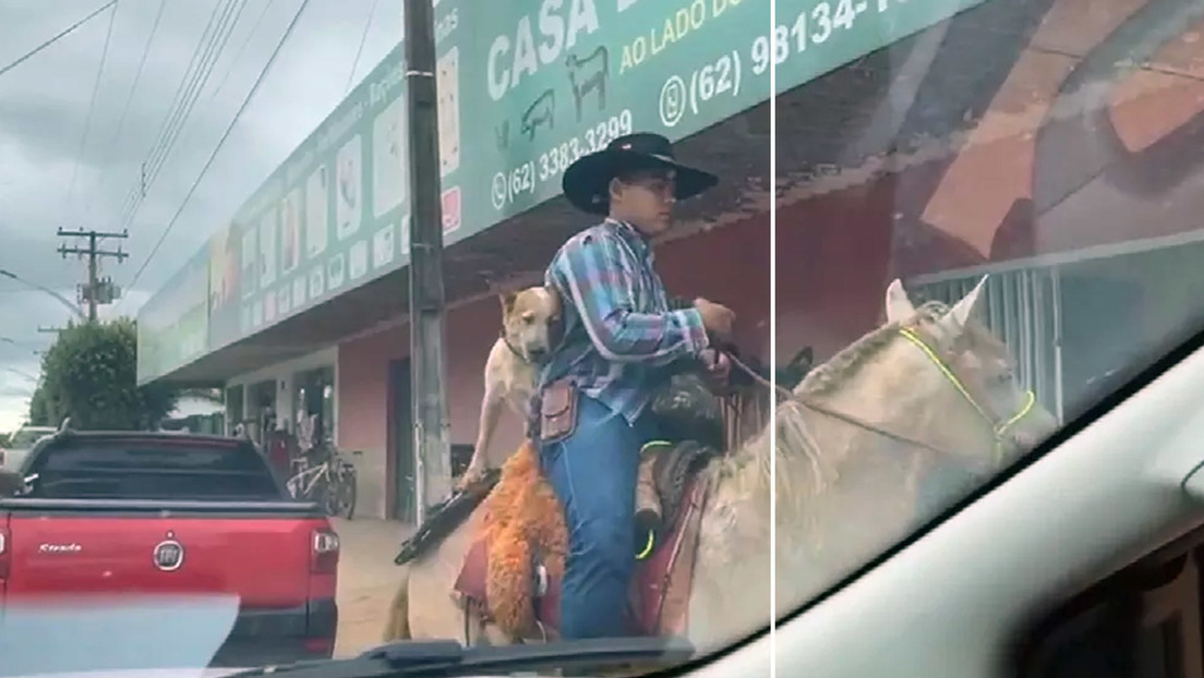 Un perrito sorprendió al pasear por las calles de Brasil montando a caballo (Video)