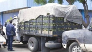 Dolor en Mérida: Niño de tres años murió al ser arrollado por su abuelo con un camión cargado de plátanos
