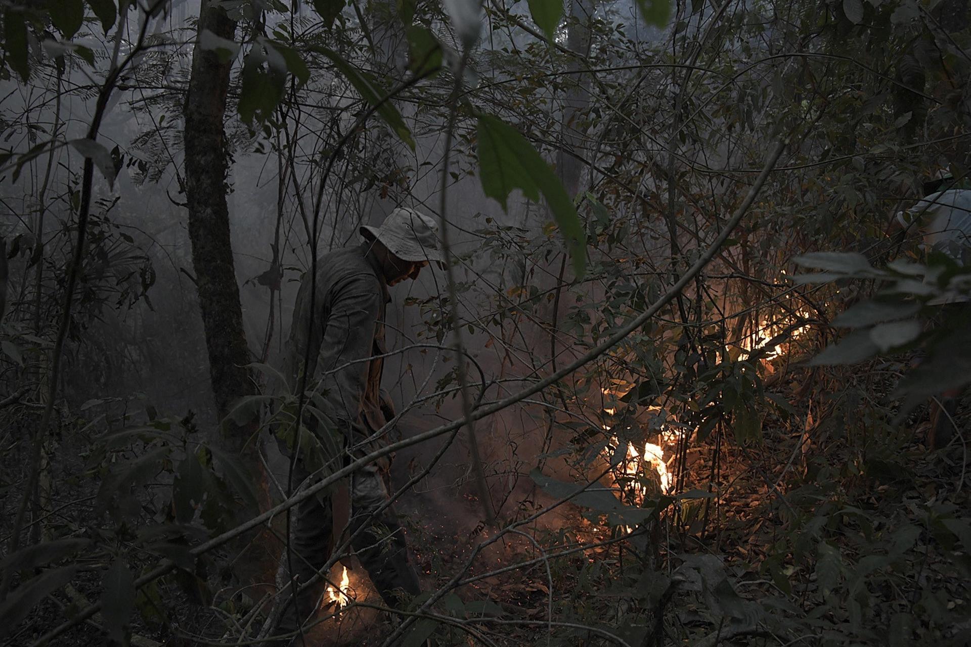 Los incendios en la Amazonía brasileña se disparan y crecen 54 % en enero