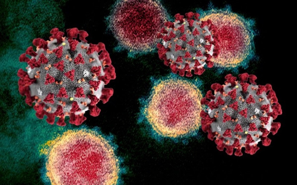 “Flurona no es un nuevo virus pero hay que extremar precauciones”