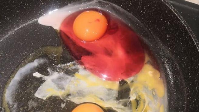 Mujer británica halla un huevo con la clara roja y tuvo que botarlo inmediatamente (Foto)