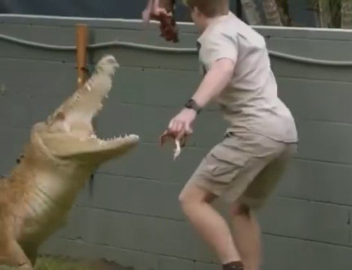 ¡SUSTO! Hijo del “cazador de cocodrilos” fue atacado por un reptil gigante mientras rodaba su serie
