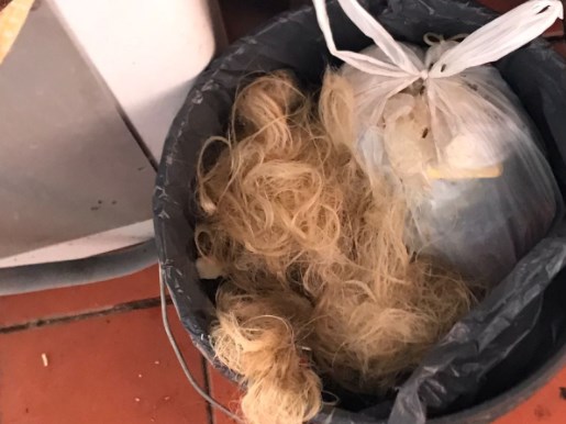 VIRAL: Se le empezó a caer el cabello luego de una fatídica cita a la peluquería previo a sus quinceaños