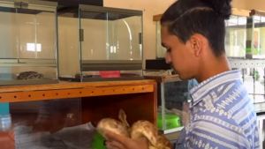 Imágenes sensibles: El “consentidor de serpientes” que vive con 45 reptiles en Nicaragua
