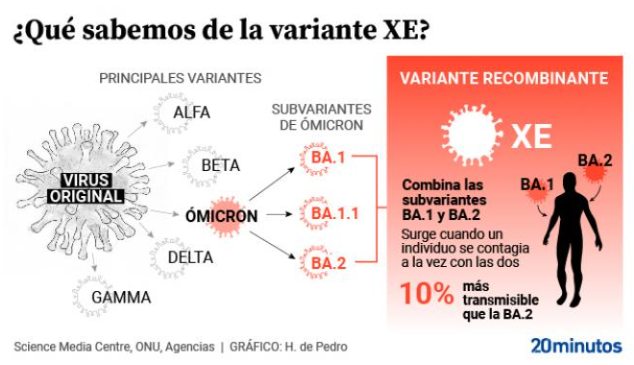 La variante recombinante XE del Covid-19 llega a España: ¿puede originar una nueva ola?