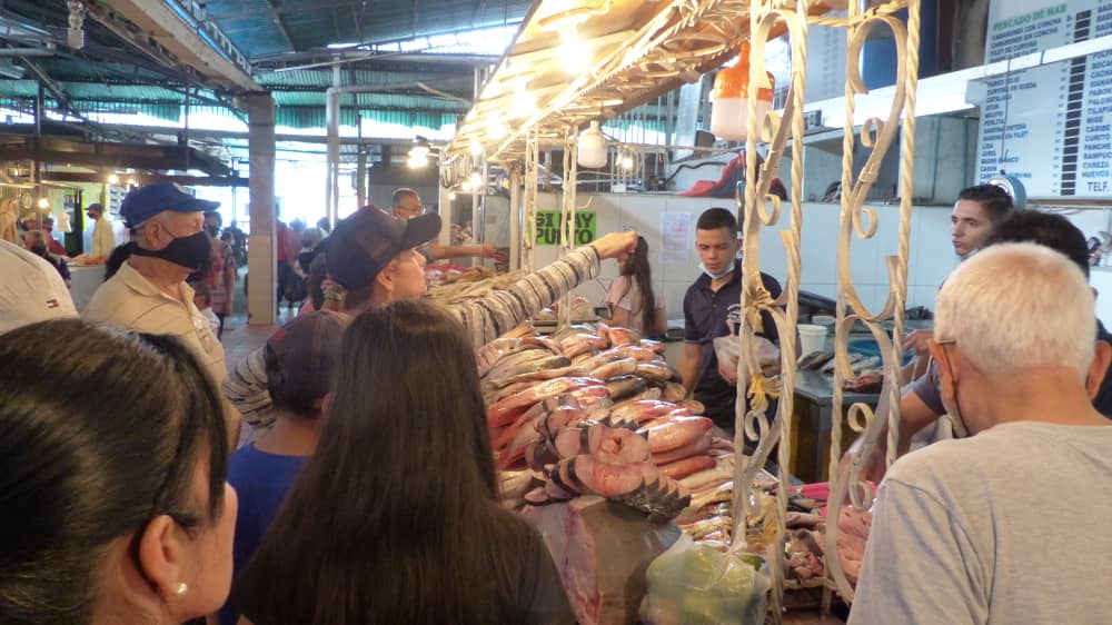La “pelazón” y los apagones golpean las ventas de pescado en San Cristóbal (VIDEO)