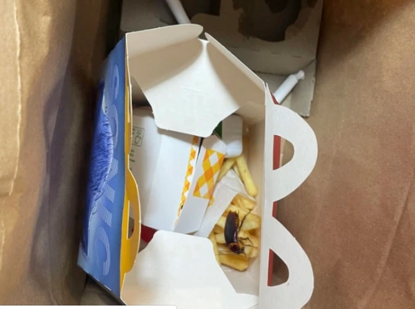 ¿Un juguete inesperado? Realizó un pedido a McDonald’s y encontró una cucaracha en la Cajita Feliz de su hija