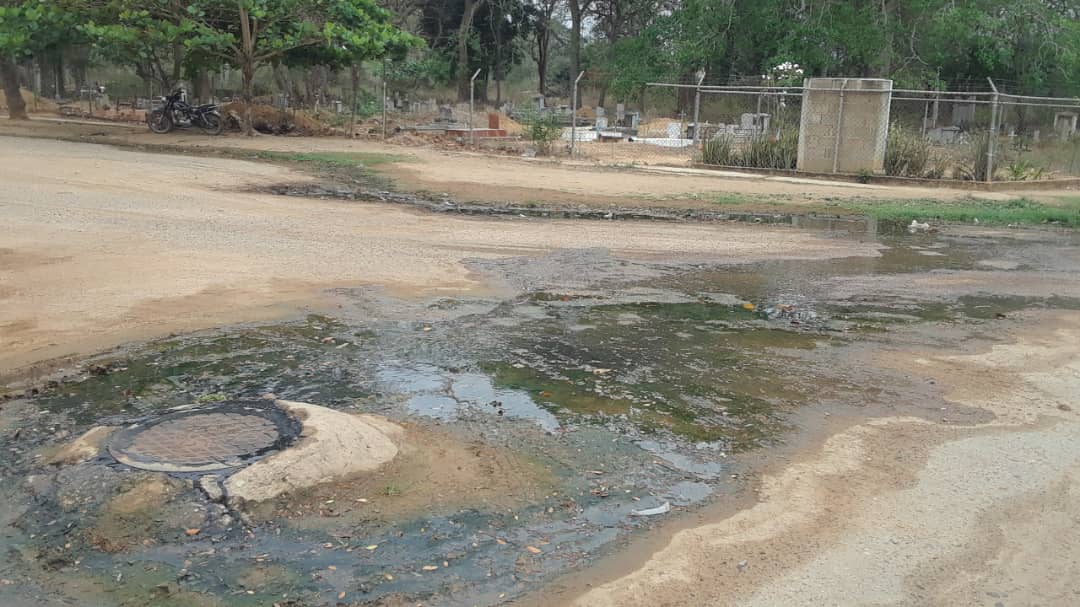 Lara: En Aguada Grande nadan entre aguas negras